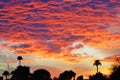 The burning clouds of an Arizona sunset. Royalty Free Stock Photo