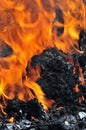 Burning coal flames Royalty Free Stock Photo