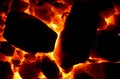 Burning coal. Royalty Free Stock Photo
