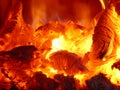 Burning coals Royalty Free Stock Photo