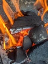 Burning coals, wood and ashes in the hot oven Royalty Free Stock Photo