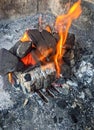 Burning coals, wood and ashes in the hot oven Royalty Free Stock Photo