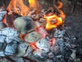 Burning coals, wood and ashes in the hot oven Royalty Free Stock Photo