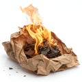 Burning crumpled brown paper in flames Royalty Free Stock Photo