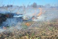 Burning dead grass. Global warming fire