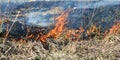 Burning dead grass. The reasons for spring grass burning are largely unfounded and rather than being beneficial, grass burning is