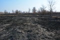 Burning dead grass in spring. The reasons for spring grass burning are largely unfounded and rather than being beneficial, grass