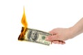 Burning dollar Royalty Free Stock Photo