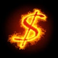 Burning dollar Royalty Free Stock Photo