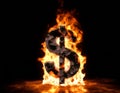 Burning dollar sign made of coal set on fire on black background