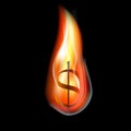Burning dollar Royalty Free Stock Photo