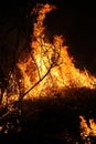 Burning dried grass