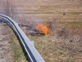 Burning dried vegetation near roadside, negligent people setting up the fire