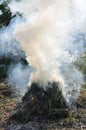 Burning dried weeds