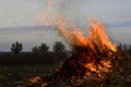 Burning of dry corn straw right on the agriculture field in the evening Royalty Free Stock Photo