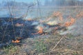 Burning dry, dead grass. The reasons for spring grass burning are largely unfounded and rather than being beneficial, grass Royalty Free Stock Photo