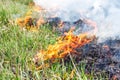 Burning dry grass on field close up. Fire in the field. Environmental disaster, environment, climate change, environmental Royalty Free Stock Photo