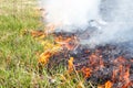 Burning dry grass on field close up. Fire in the field. Environmental disaster, environment, climate change, environmental Royalty Free Stock Photo