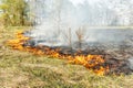Burning dry grass on the field. Fire in the field. Environmental disaster, environment, climate change, environmental pollution Royalty Free Stock Photo