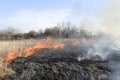 Burning dry grass and reeds. Cleaning the fields and ditches of Royalty Free Stock Photo