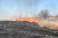 Burning dry grass and reeds Royalty Free Stock Photo