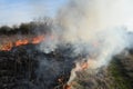 Burning dry grass and reeds. Cleaning the fields and ditches of the thickets of dry grass Royalty Free Stock Photo