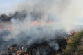 Burning dry grass and reeds. Cleaning the fields and ditches of the thickets of dry grass Royalty Free Stock Photo