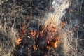 Burning dry grass and reeds. Cleaning the fields and ditches of the thickets of dry grass Royalty Free Stock Photo