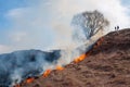 Burning dry grass in spring in the fields of Russia Royalty Free Stock Photo