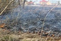 Burning dry grass in the spring.