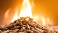 Burning Elegance: Enchanting Flames Embrace Wood Pellet Pile