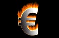 Burning euro Royalty Free Stock Photo