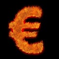 Burning european currency euro