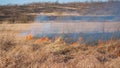 Burning field, old dry grass on fire at spring