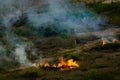 Burning field for the slash-and-burn agriculture method Royalty Free Stock Photo