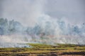 Burning fields in Thailand. Smoke and burnt grass on the field Royalty Free Stock Photo