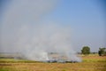 Burning fields in Thailand. Smoke and burnt grass on the field Royalty Free Stock Photo