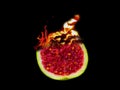 Burning fig