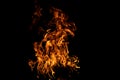 Burning fire backdrop. Fire flame textured background. Burning fire. Fire flames on black background. Royalty Free Stock Photo
