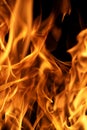 Burning fire backdrop. Fire flame textured background. Burning fire. Fire flames on black background. Royalty Free Stock Photo