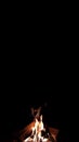 The Burning fire on a black background with space for text Royalty Free Stock Photo