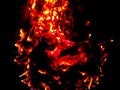 Burning fire on black coal natural Royalty Free Stock Photo