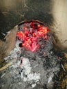 Burning fire on black coal natural Royalty Free Stock Photo