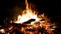 Burning Fire. Bonfire Close-up. Bonfire burning trees at night. Bonfire burning brightly, heat, light, camping Royalty Free Stock Photo