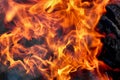 Burning fire close up. Bright orange and red flames on a dark background. Open flame heating. Problems with heating and gas Royalty Free Stock Photo