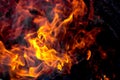 Burning fire close up. Bright orange and red flames on a dark background. Open flame heating. Problems with heating and gas Royalty Free Stock Photo