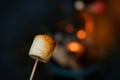 burning fire in compact grill, wood logs engulfed in red flames, closeup of fry marshmallows on fire, smoke rises, concept of fun Royalty Free Stock Photo