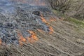 A big fire. The dry grass is burning. much smoke Royalty Free Stock Photo