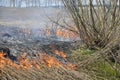 A big fire. The dry grass is burning. much smoke Royalty Free Stock Photo