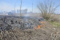 A big fire. The dry grass is burning. much smoke Royalty Free Stock Photo